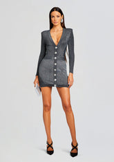 Zem Metallic Rib Knit Dress