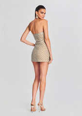 Heather Embellished Dress