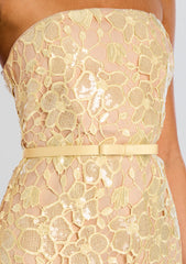 Rowena Sequin Lace Dress